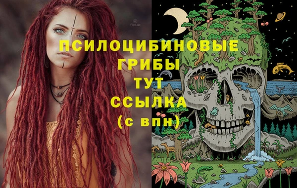 PSILOCYBIN Армянск