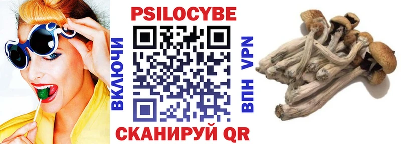 Галлюциногенные грибы прущие грибы Онега
