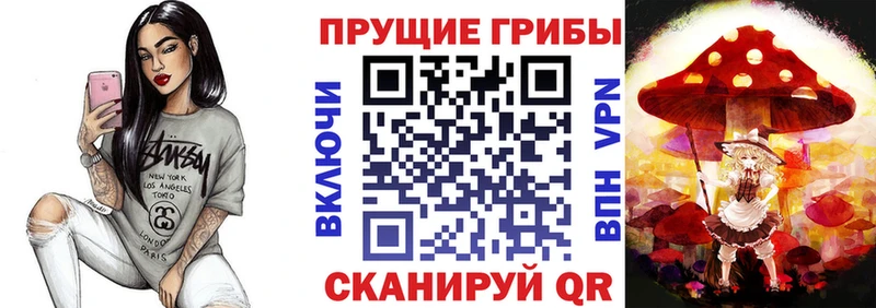 OMG tor  Онега  даркнет как зайти  Галлюциногенные грибы Cubensis 