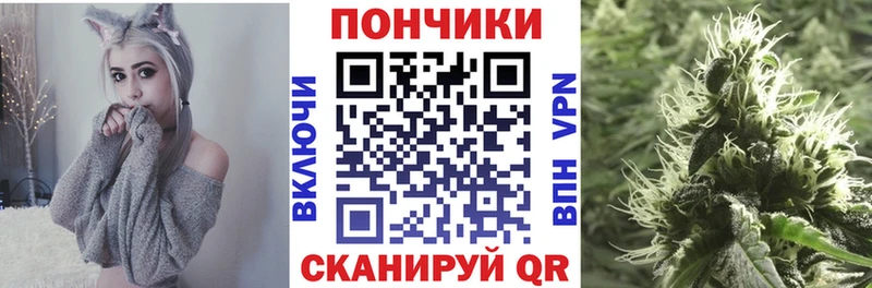 Каннабис гибрид Онега